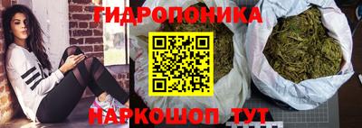 ГАЛЛЮЦИНОГЕННЫЕ ГРИБЫ Новозыбков