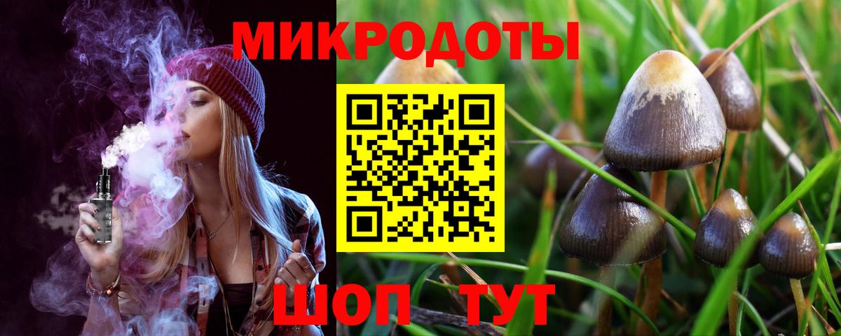 Галлюциногенные грибы мицелий  Псилоцибиновые грибы Psilocybe  Вход с VPN  Славгород 
